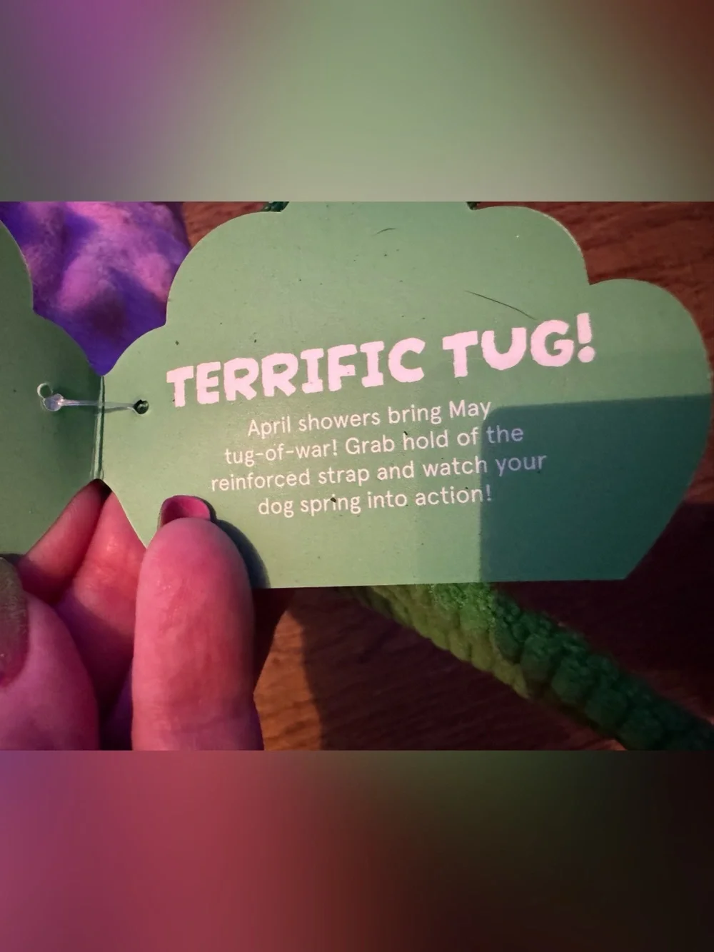 Bark Box Debbie Daisy L Flower Dog Toy NEW tug, thrash, crinkle, squeak